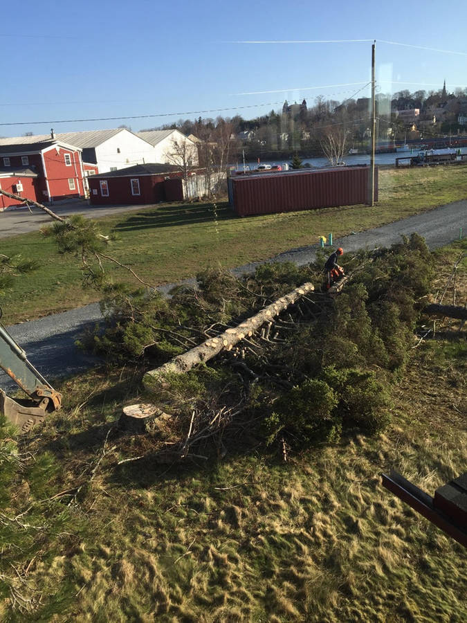 <p>SUBMITTED PHOTO</p><p>A worker deals with a downed tree near Paul Kellogg&#8217;s Tannery Road property in Lunenburg in late April.</p>