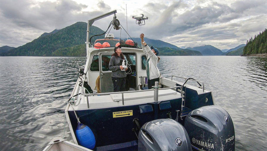 <p>Markus Thompson/National Observer </p><p>Gina and Alex Thomas, members of the Tlowitsis First Nation Guardian Watchmen program, launch a research drone to investigate their traditional territory on the B.C. coast.</p>