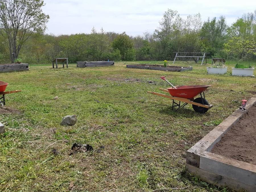 <p>FACEBOOK PHOTO</p><p>The Plant to Plate Community garden area sat idle for the past couple of years, but interest in the project was renewed this year.</p>