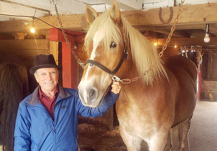 <p>CONTRIBUTED PHOTO</p><p>A fixture on the Lunenburg waterfront for more than two decades, the horse and buggy service Trot In Time, owned by Basil Oickle (shown here with his horse Jake), now has new owners at the reins. See story Page 6.</p>