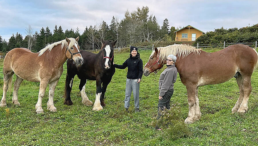 <p>JOHN VANDERBRUGGE, PHOTO</p><p>Shay VanderBrugge and her mother Donna Williams will be arriving with John VanderBrugge in February as the new owner operators of a Lunenburg horse and carriage business.</p>
