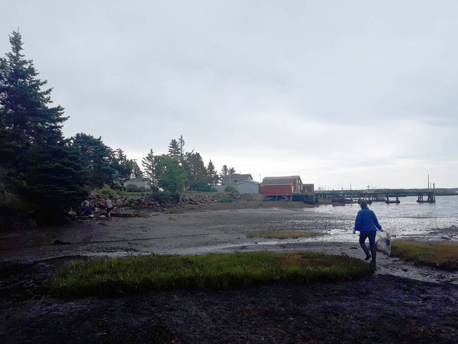 <p>SUBMITTED PHOTO</p><p>A participant of the World Oceans Day clean up in Dublin Shore in early June.</p>