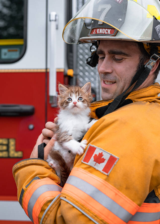 <p>Caroline Hale PHOTOGRAPHY</p><p>An Oakhill and District volunteer firefighter gives SHAID kitten, Gravy a snuggle.</p>